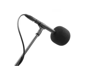 BUBBLEBEE THE FOAM MIC XL on mic